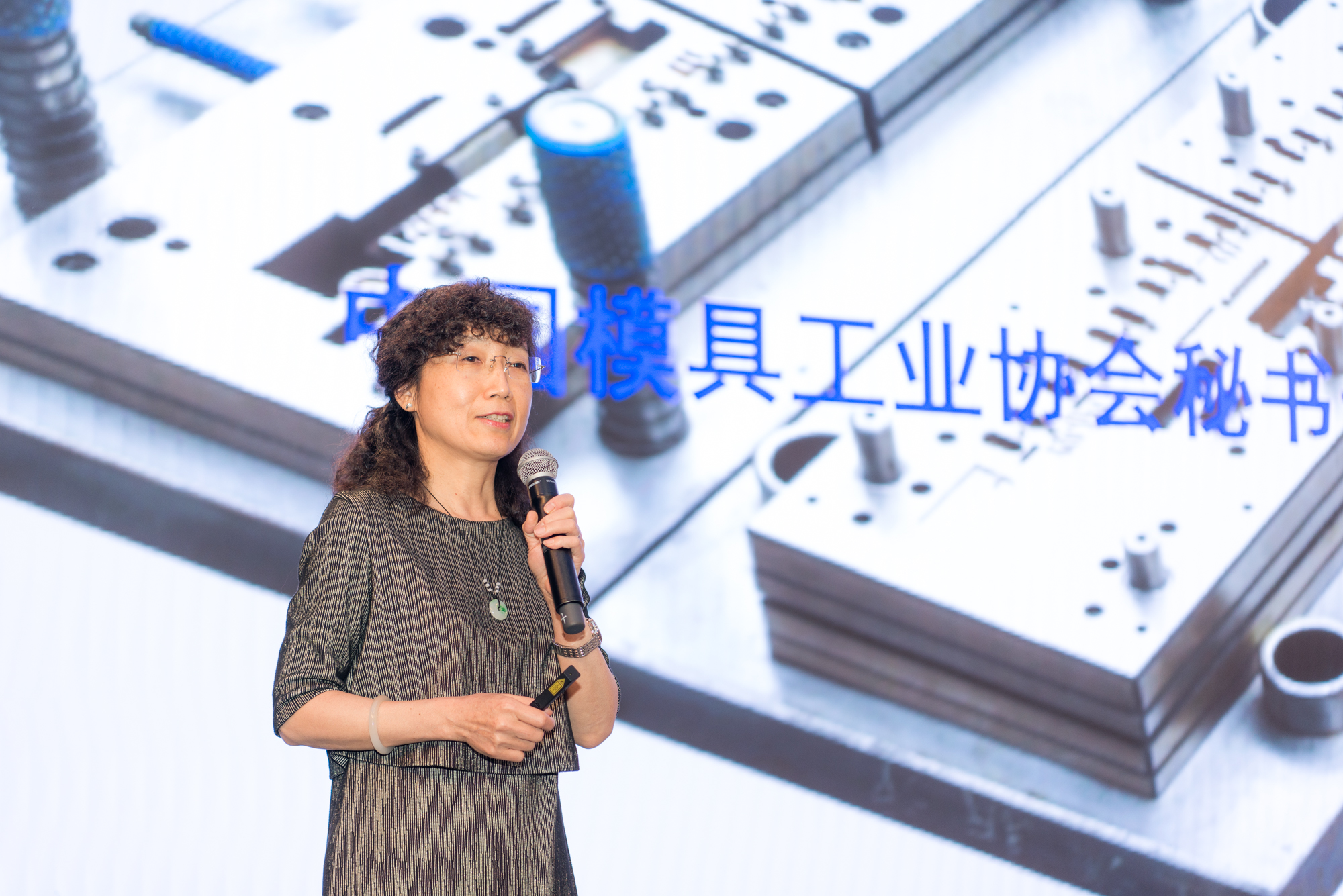 模具研討|“智造”落地，思瑞三坐標(biāo)助力“數(shù)字北侖”建設(shè)(圖2)